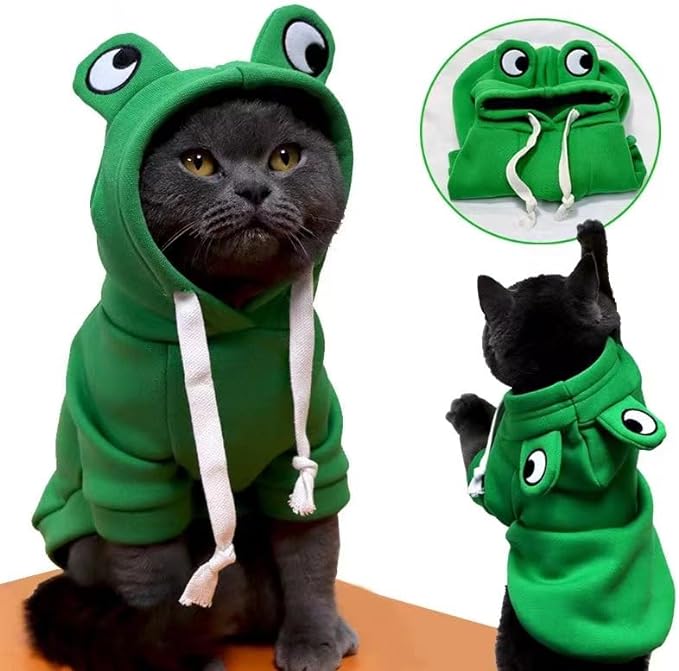 Froggy Hoodie for Pets