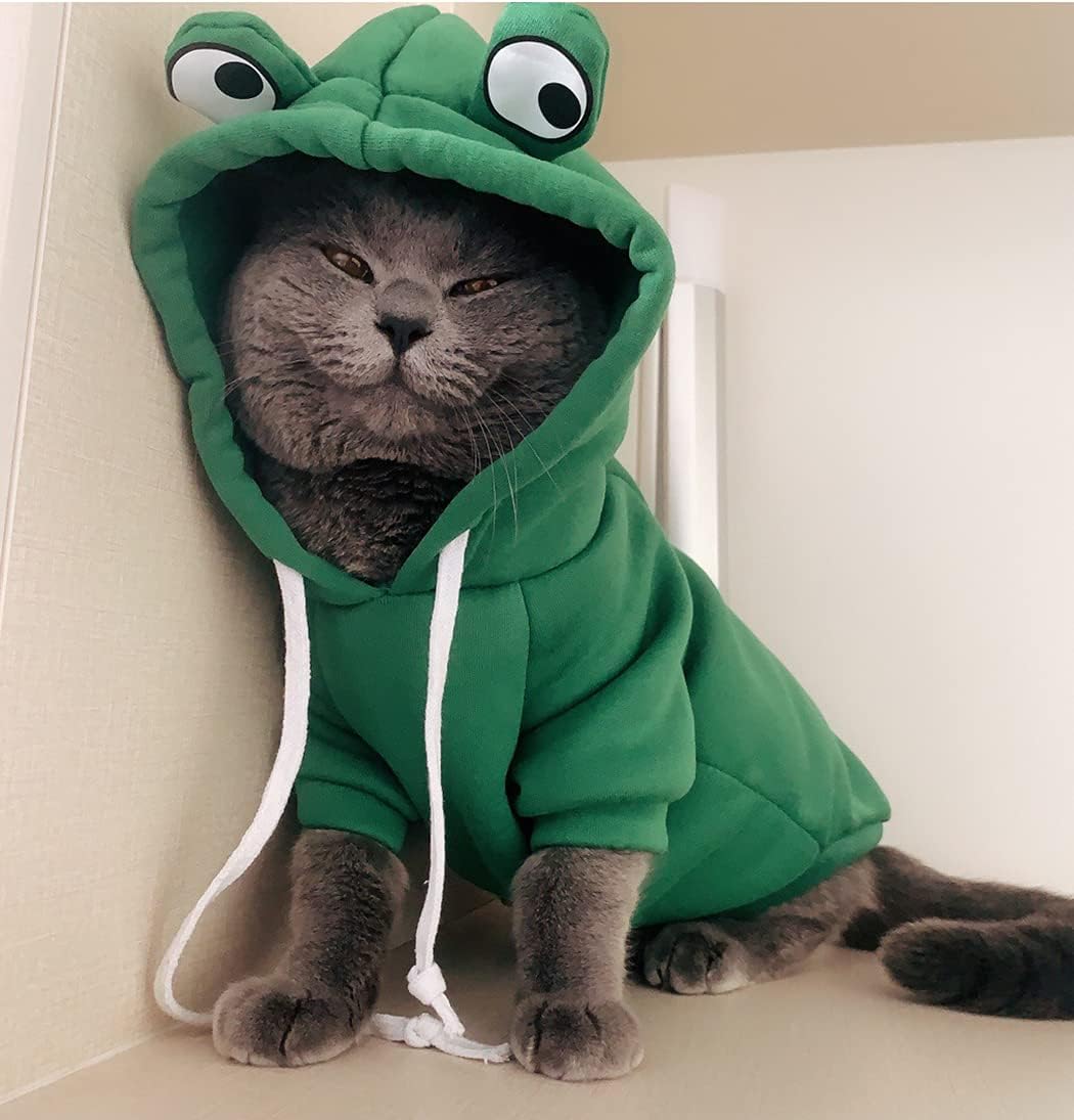 Froggy Hoodie for Pets