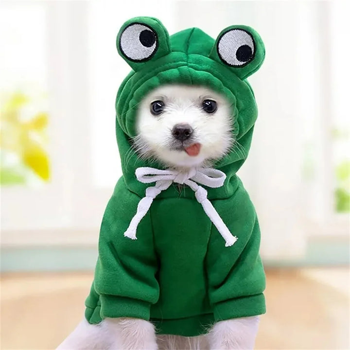 Froggy Hoodie for Pets