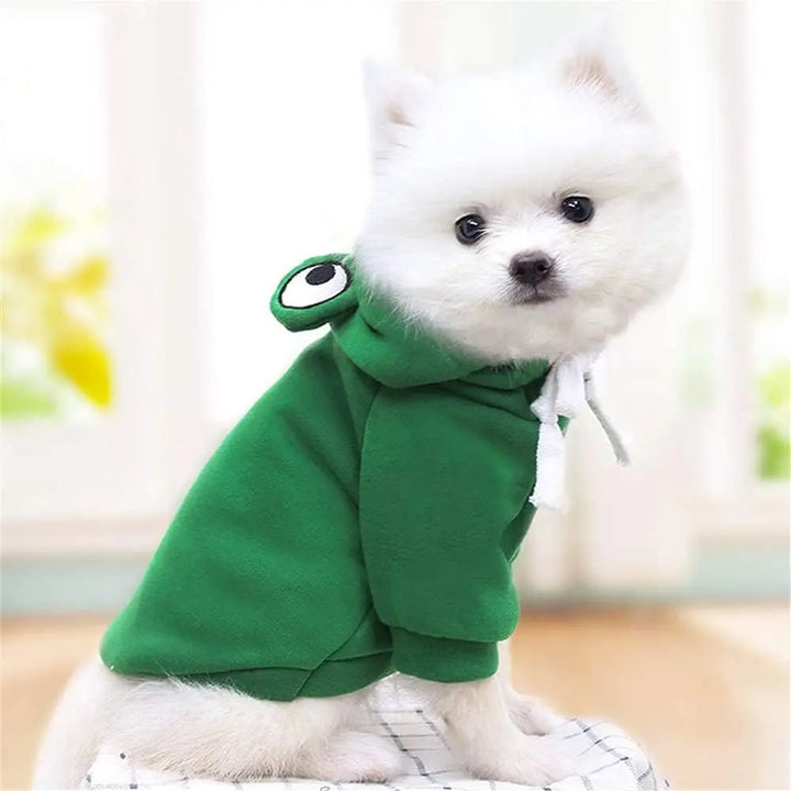 Froggy Hoodie for Pets