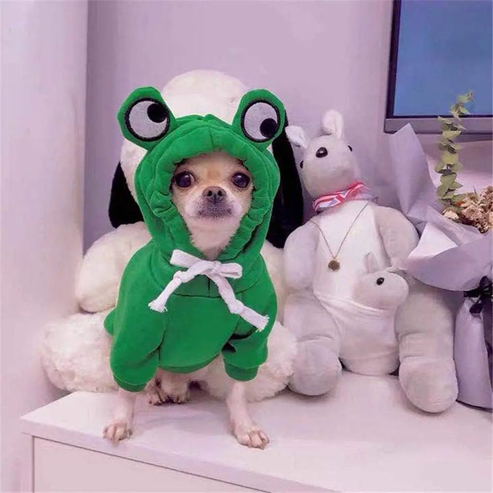 Froggy Hoodie for Pets